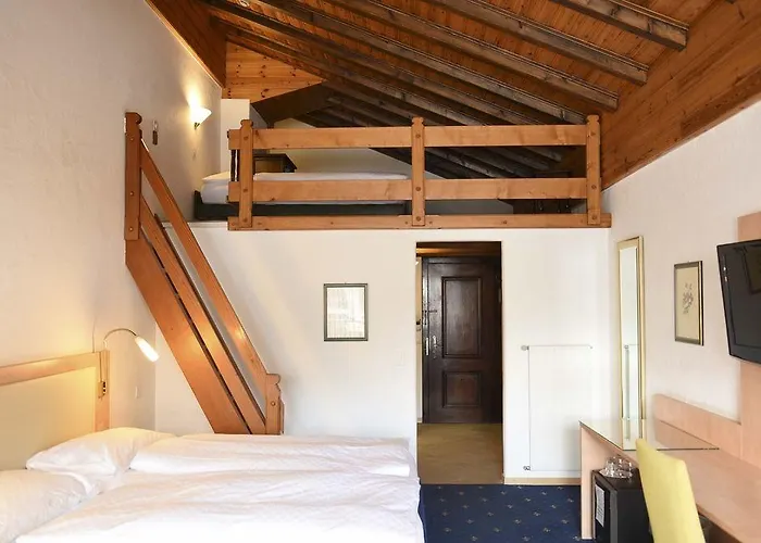 Alpen & ホテル 4*